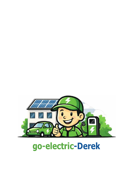 Go-Electric Derek